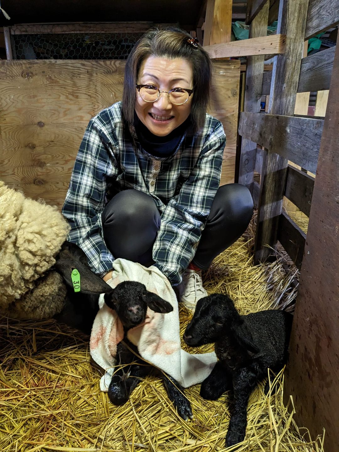 2023-4-7 牧場初の子羊が誕生しました～！