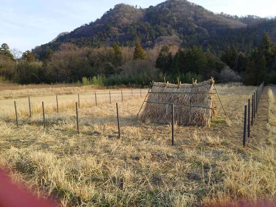 2019-3-2 放牧場の柵囲い 杭打ちが終了　Making Fence for the Goats Pasture Piling Finished